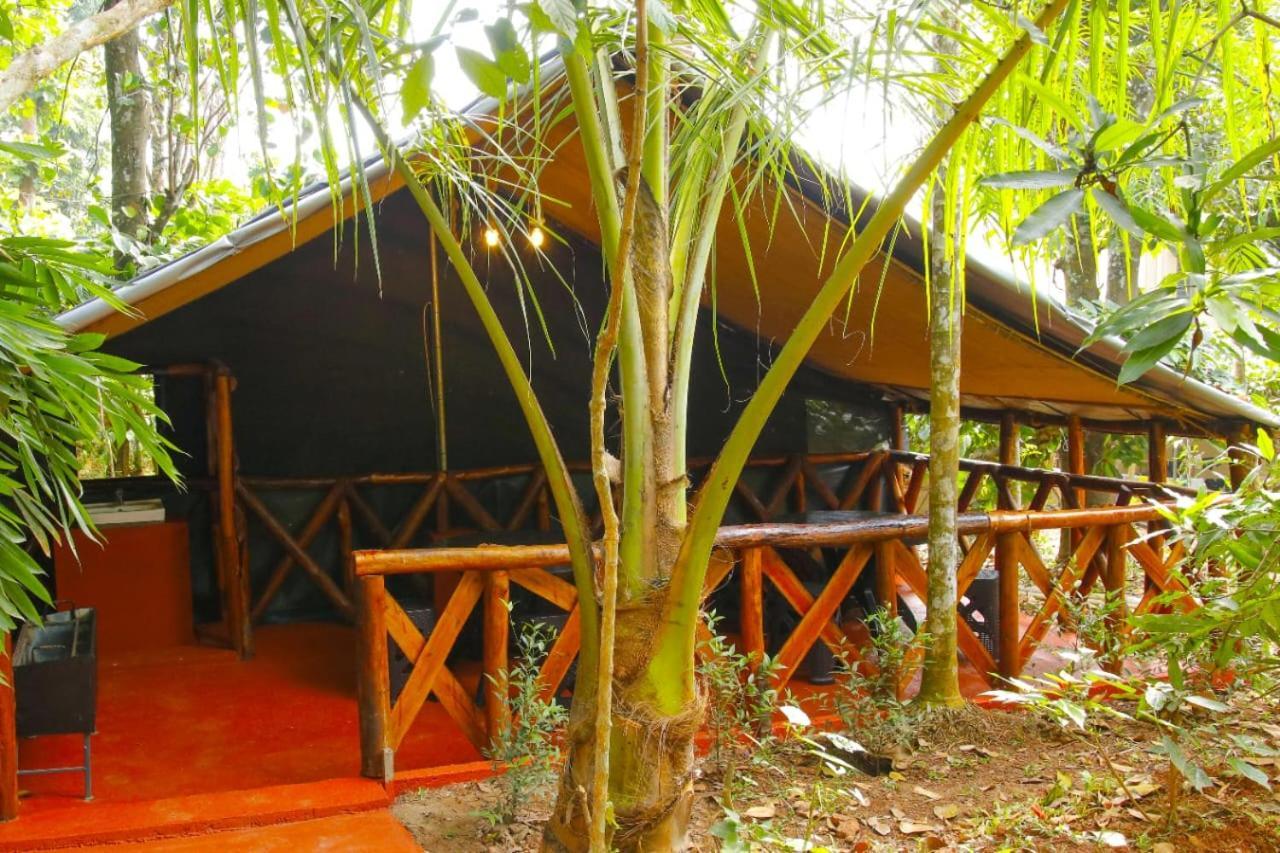 Greens Tree House & Wood House Sultans Battery Exteriör bild