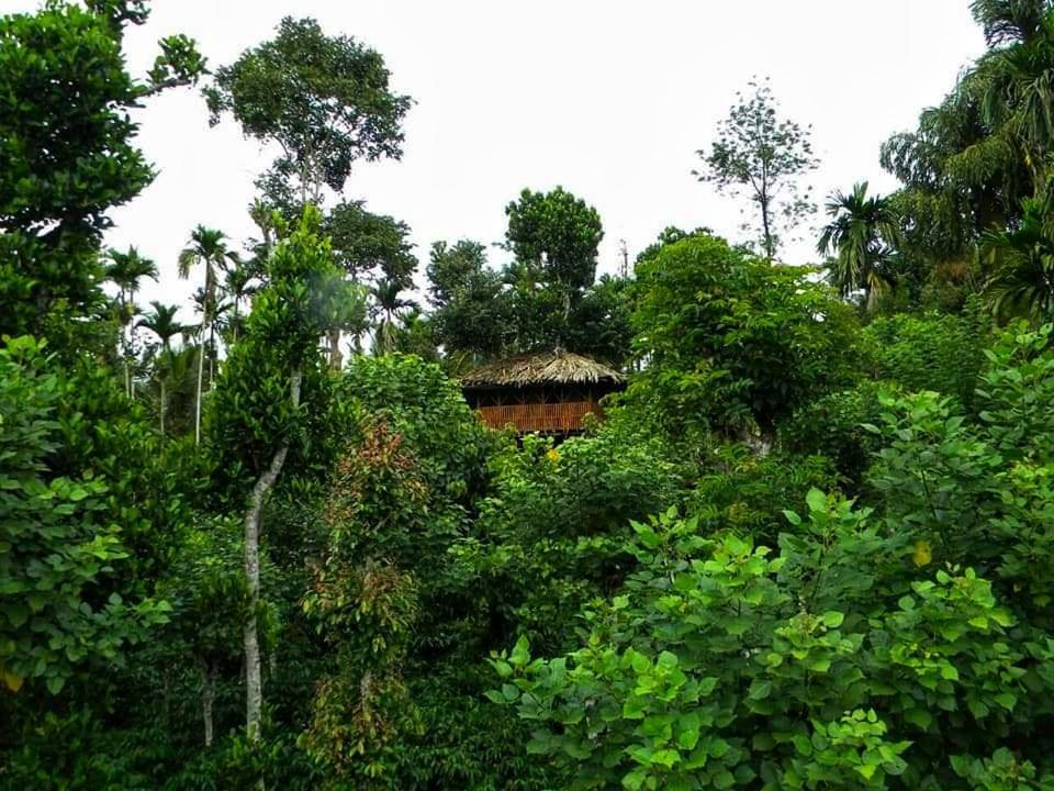 Greens Tree House & Wood House Sultans Battery Exteriör bild