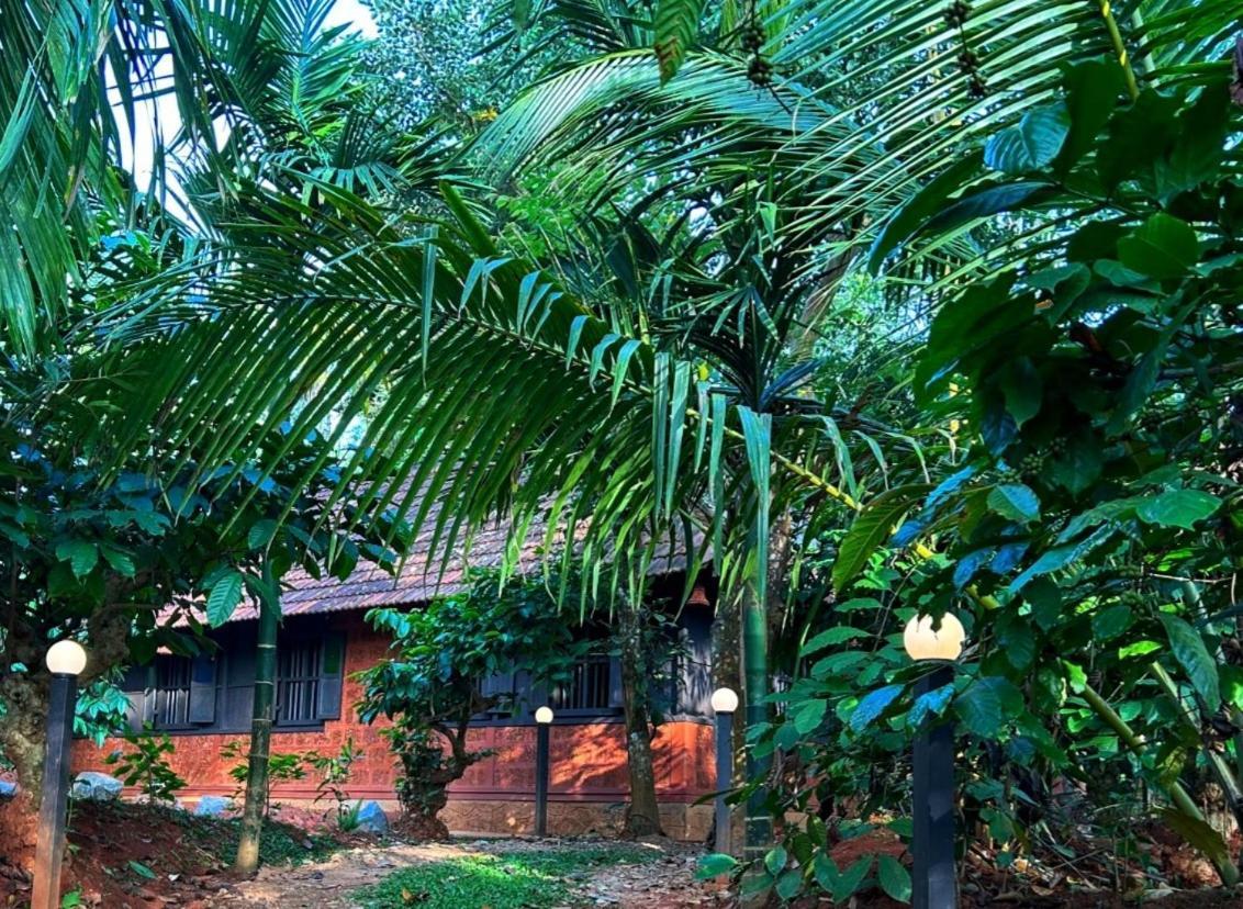 Greens Tree House & Wood House Sultans Battery Exteriör bild