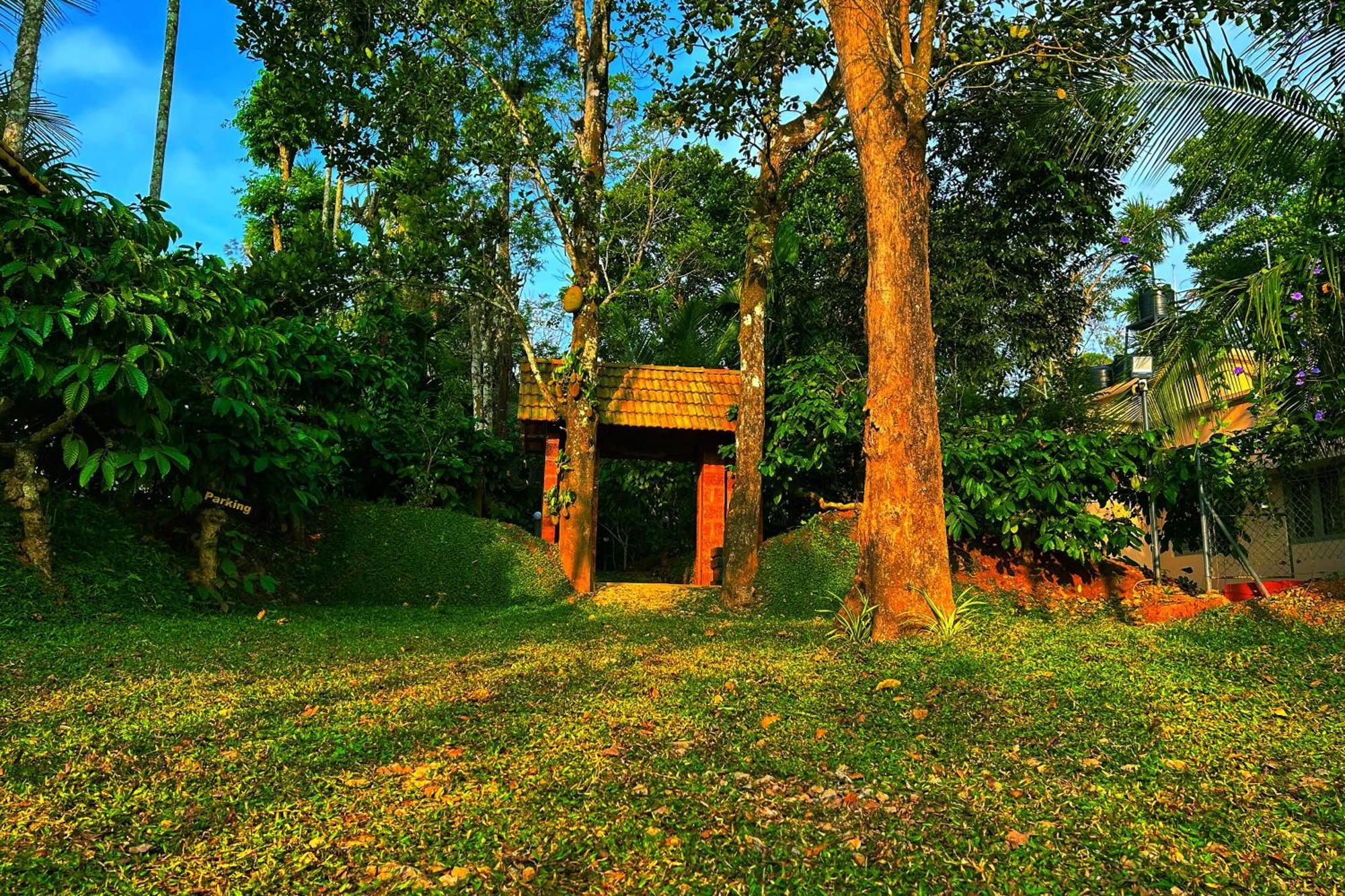 Greens Tree House & Wood House Sultans Battery Exteriör bild