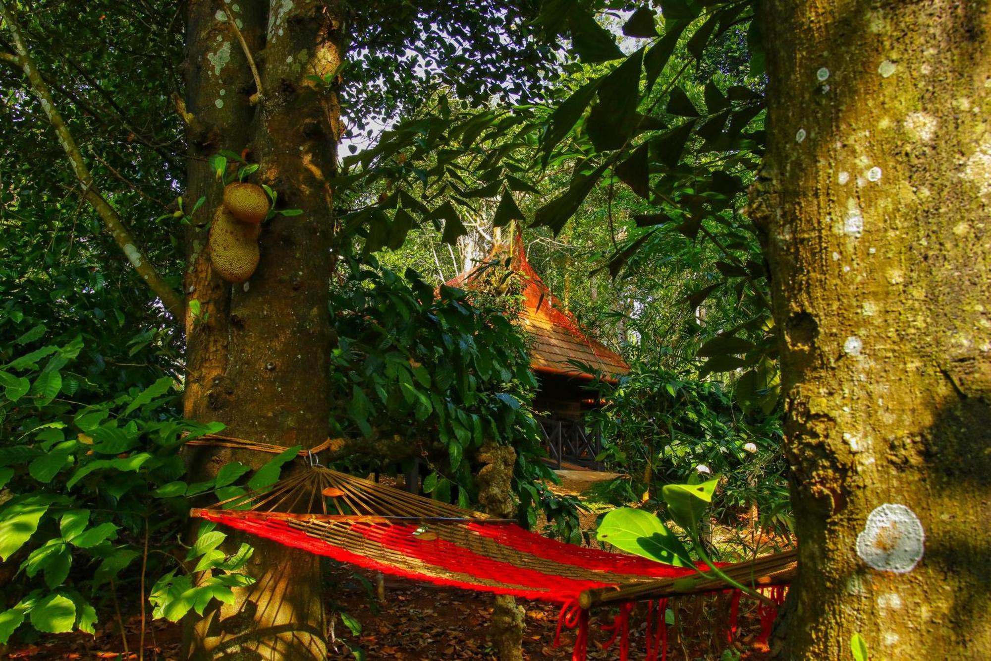 Greens Tree House & Wood House Sultans Battery Exteriör bild