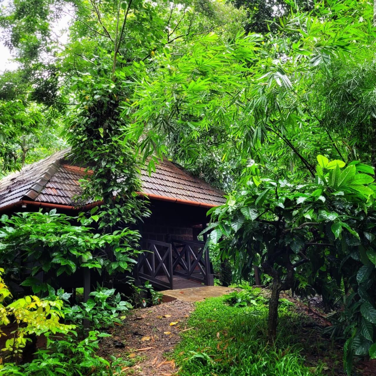 Greens Tree House & Wood House Sultans Battery Exteriör bild