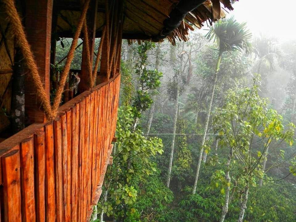 Greens Tree House & Wood House Sultans Battery Exteriör bild