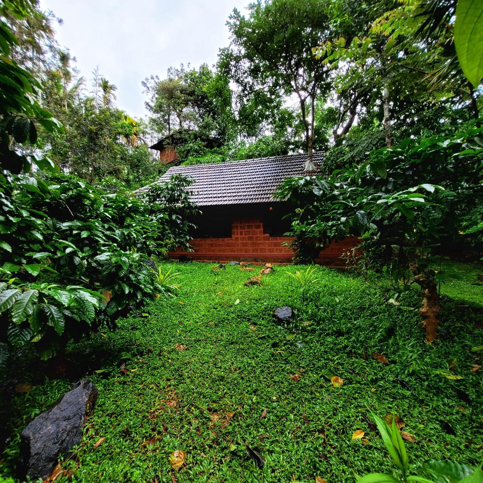 Greens Tree House & Wood House Sultans Battery Exteriör bild