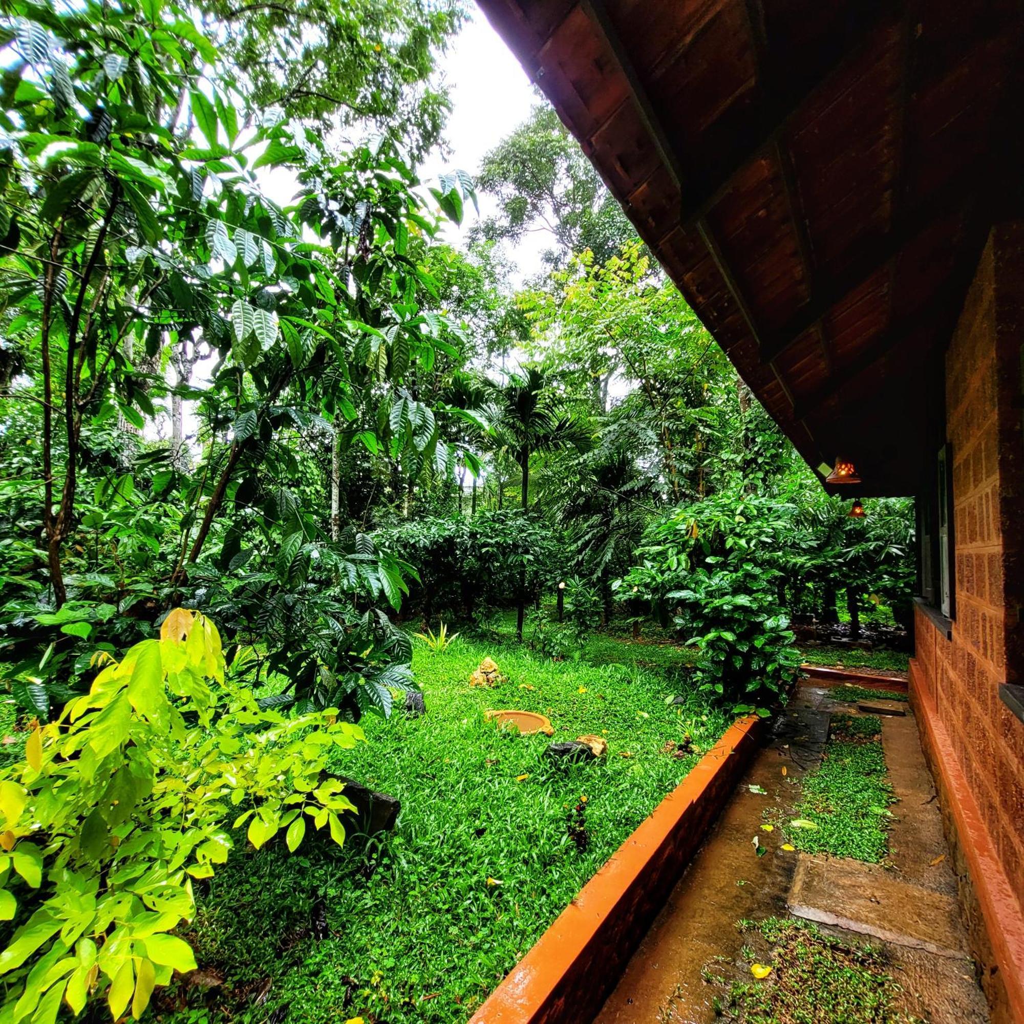 Greens Tree House & Wood House Sultans Battery Exteriör bild