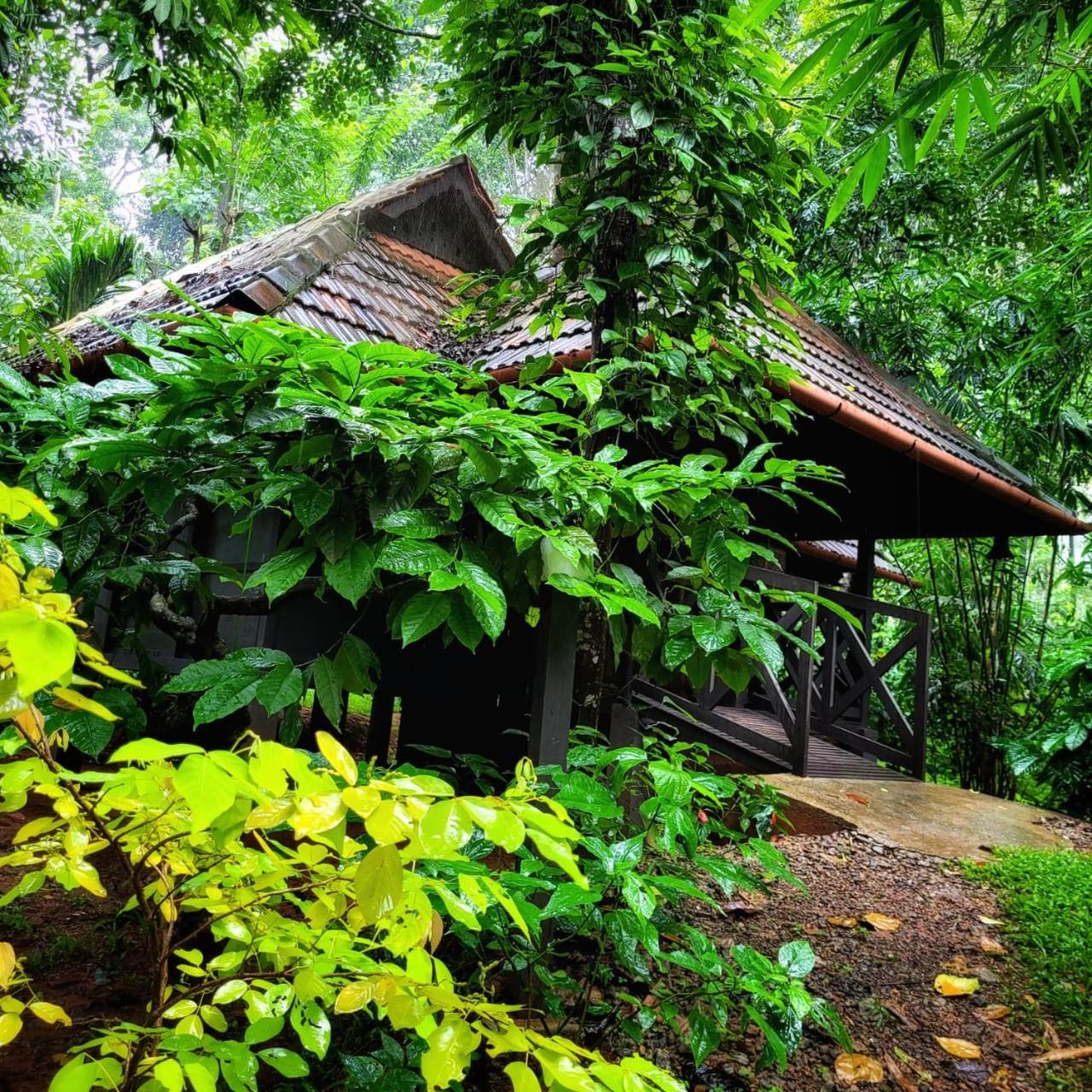 Greens Tree House & Wood House Sultans Battery Exteriör bild