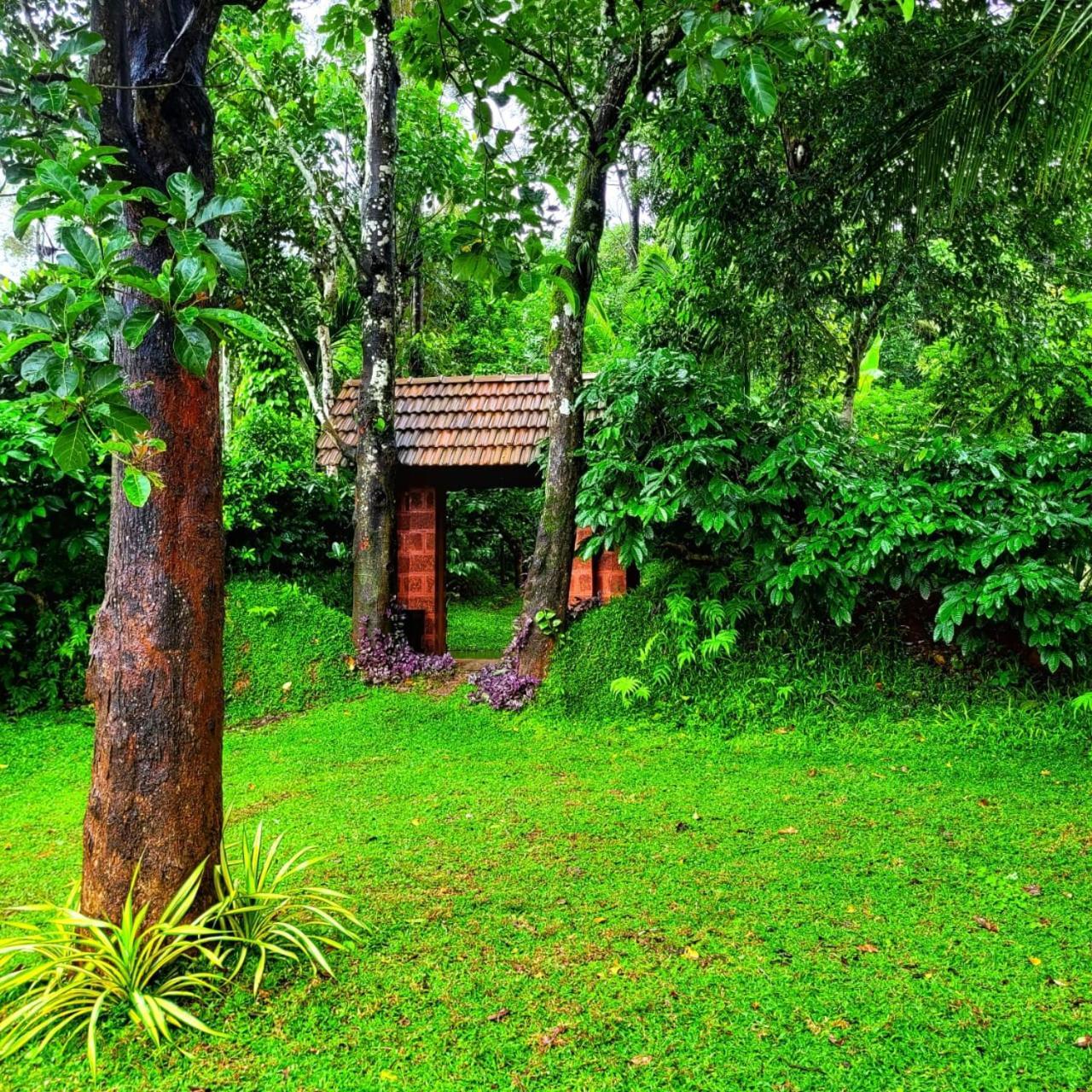 Greens Tree House & Wood House Sultans Battery Exteriör bild