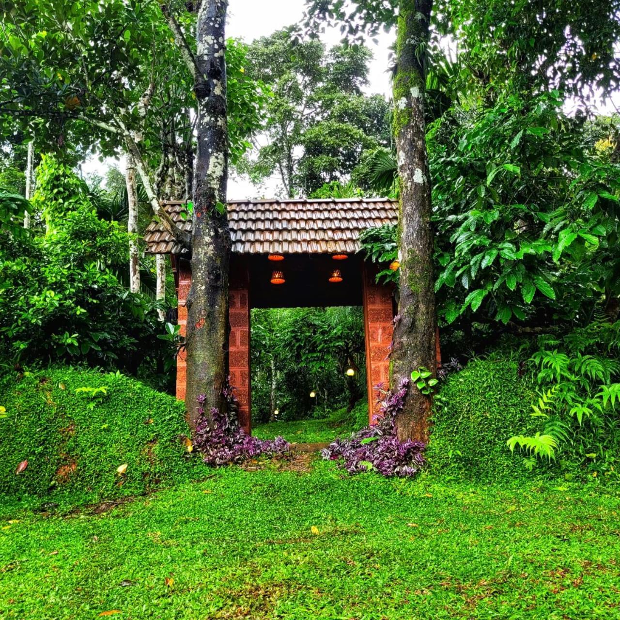 Greens Tree House & Wood House Sultans Battery Exteriör bild