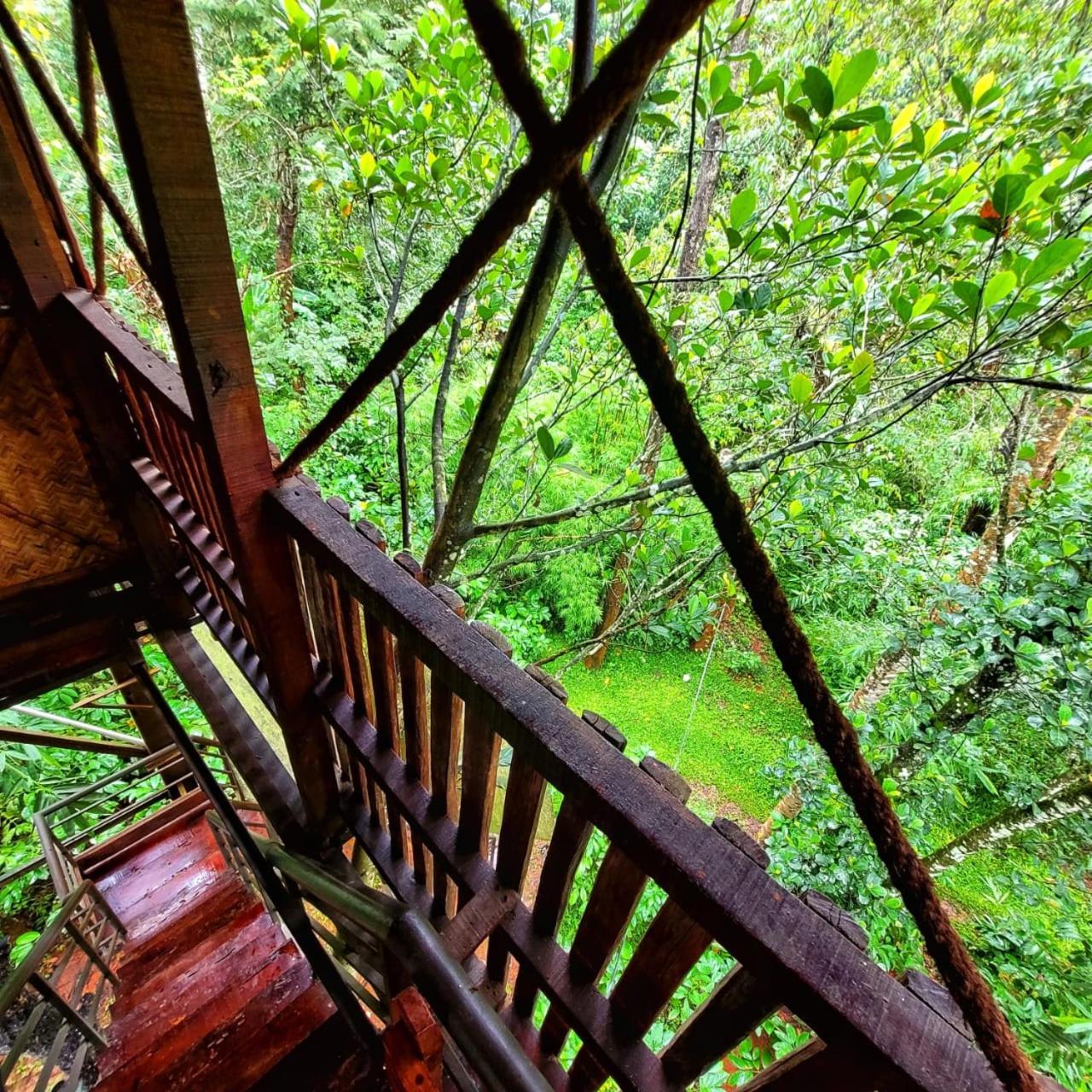 Greens Tree House & Wood House Sultans Battery Exteriör bild