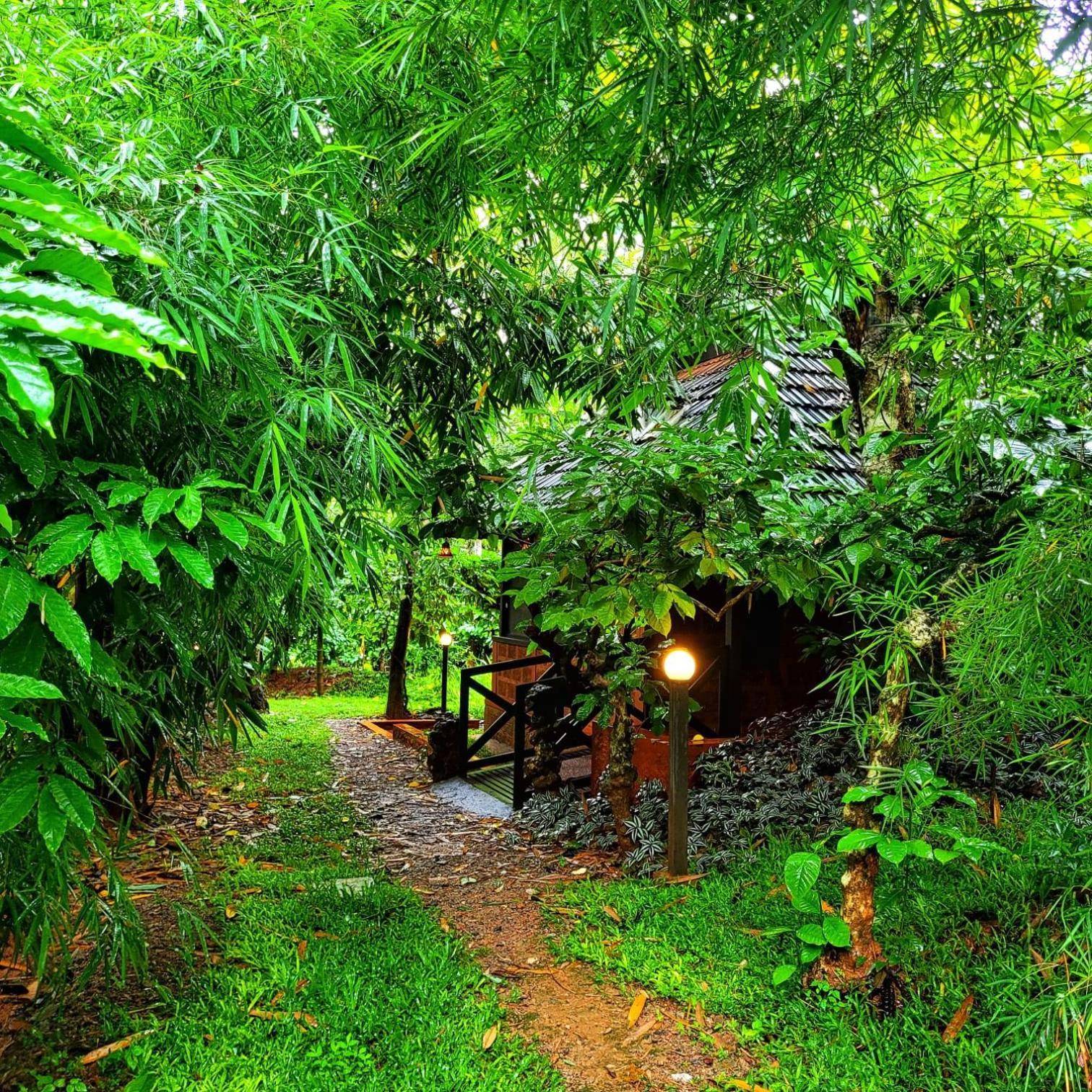 Greens Tree House & Wood House Sultans Battery Exteriör bild