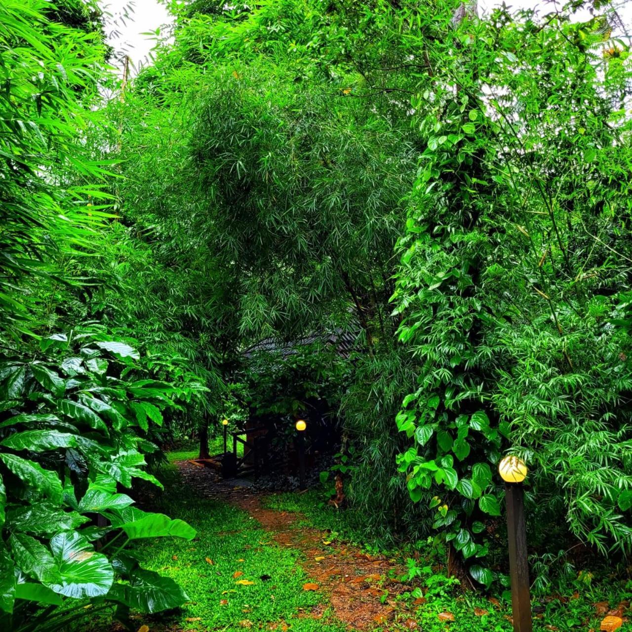 Greens Tree House & Wood House Sultans Battery Exteriör bild
